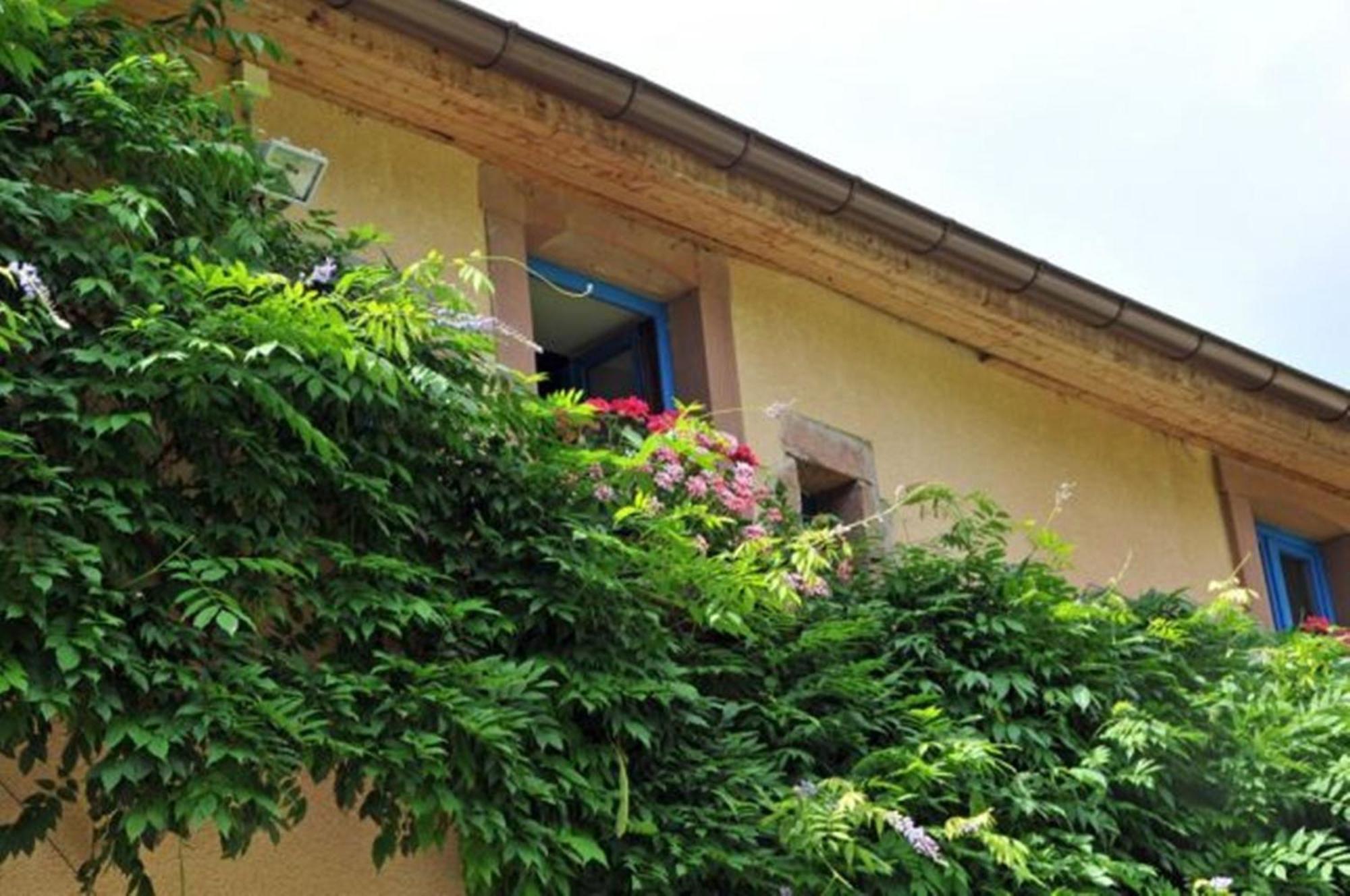 Auberge de la Cholotte Les Rouges-Eaux Exterior foto