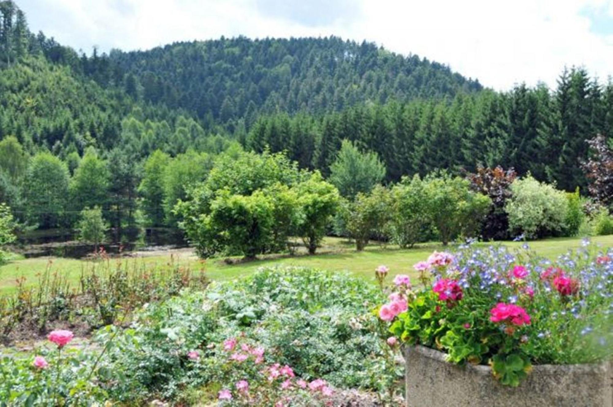 Auberge de la Cholotte Les Rouges-Eaux Exterior foto